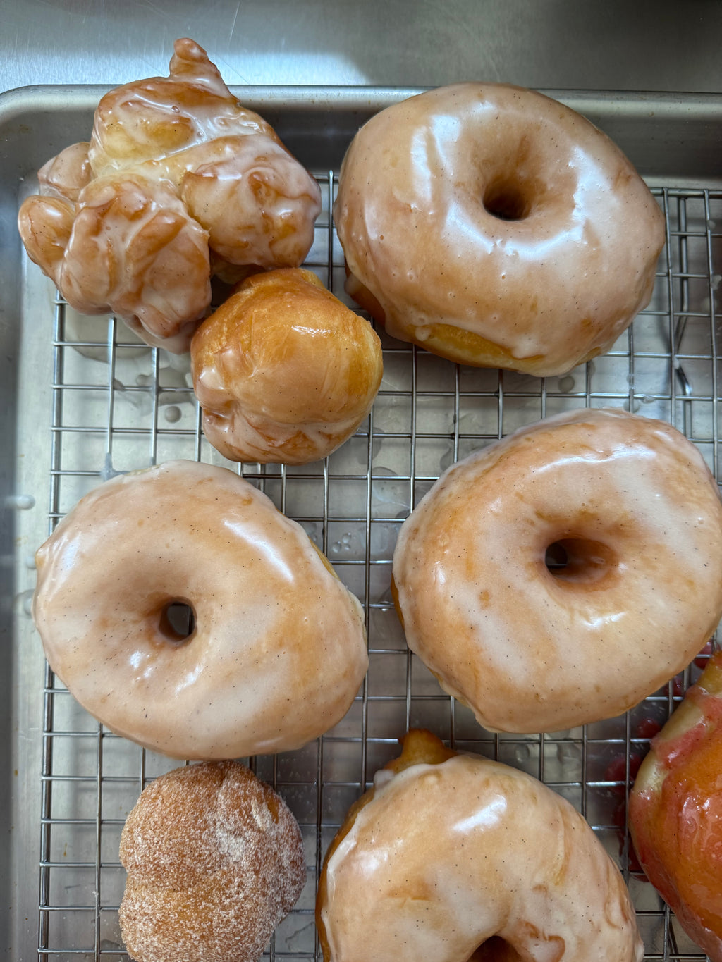 Donut Knots
